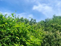 -北京水岸山吧度假村(雁栖镇店)