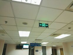 -上海交通大学医学院附属上海儿童医学中心(陆家嘴总院区)