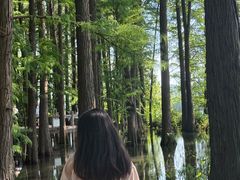 -东湖落雁景区