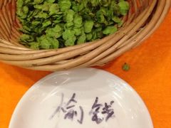 榆钱-山东宾馆·齐鲁苑餐厅