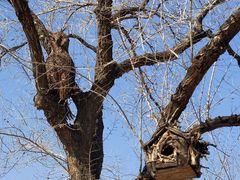 -北京西山国家森林公园