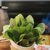 秋天快来跟我一起贴秋膘