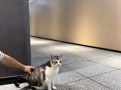 -谜盒子奇幻密室(南屏店)