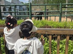 -秦皇岛野生动物园