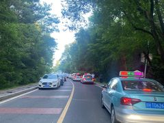 -帽儿山国家森林公园