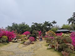 -盈香心动乐园