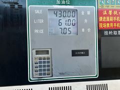-中福石油新龙加油站(建材城西路)