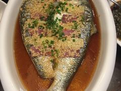 酒酿蒸长江鲥鱼-莆鑫海鲜城(浏河店)