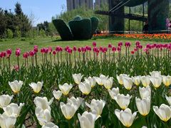 -长春公园(普阳街道)