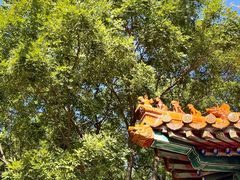 -天津盘山风景名胜区