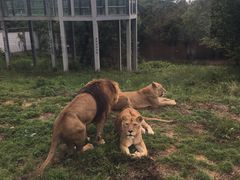 -西安秦岭野生动物园