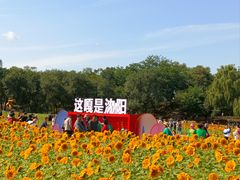 -北陵公园