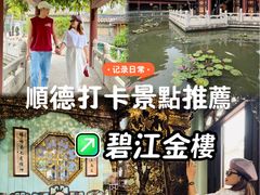 -碧江金楼