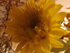 -庆丰包子铺(大红罗厂店)