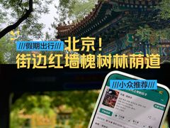 -北京国子监胡同