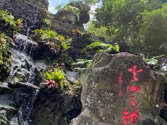 -海口火山口国家地质公园