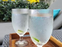 -芽庄喜来登水疗酒店