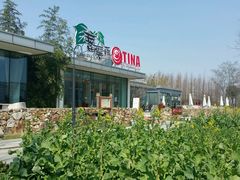 -田园东方蜜桃村的田野营地