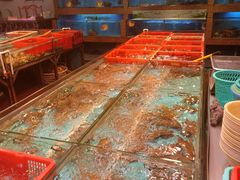 水产区-德兴海鲜渔港(辉煌大厦店)