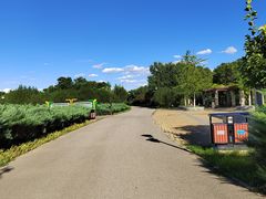 -永定河休闲森林公园