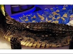 -澜悦港海鲜体验主题餐厅
