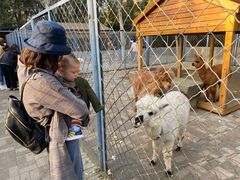 -长白岛森林公园