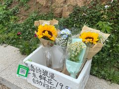 -燕儿岛山公园