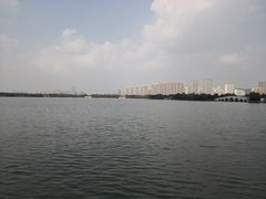 -朱洪元苏式面馆(绿宝广场店)