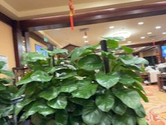 -麒麟中餐厅·经典粤菜·地道菜式老字号(广州长隆酒店)
