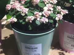 -鹿岛会员店 (龙湖三千集天街店)