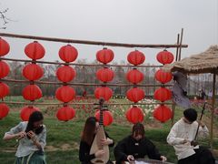 -金卉庄园