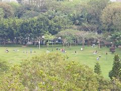 -深圳龙潭公园