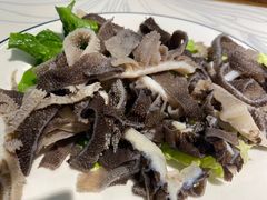 -雄记·揭阳桐坑牛肉店(建华路店)
