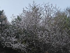 -长春市南湖公园