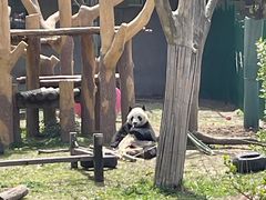 -沈阳森林动物园