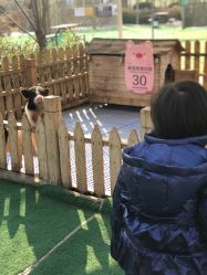 点击看大图 -萌宠亲子动物乐园(槐房万达店)