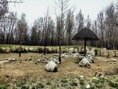 -北京野生动物园