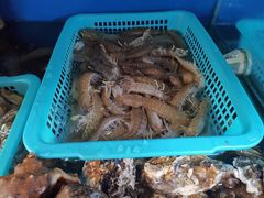 -云南巷海鲜大咖·可加工海鲜