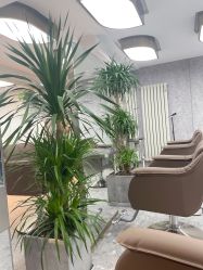 点击看大图 -P.STYLE 派斯造型