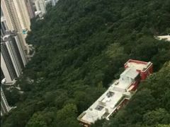 -Big Bus Tours 敞篷观光巴士