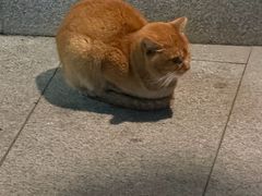 -荔湾湖公园