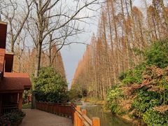 -上海怡沁园度假酒店