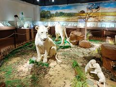 -陕西自然博物馆