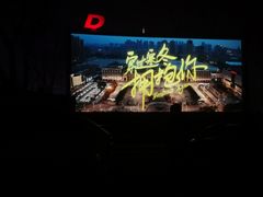 -枫花园汽车电影院(朝阳公园店)