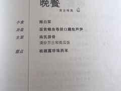 -新加坡航空公司(ION)