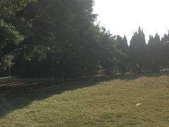 -南沙蒲洲花园