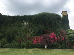 -府河摄影公园