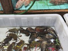 -国家五钻酒家·西樵旺阁渔村(西樵店)