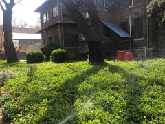 -山东大学(趵突泉校区)