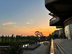 -江门古劳水乡旅游区
